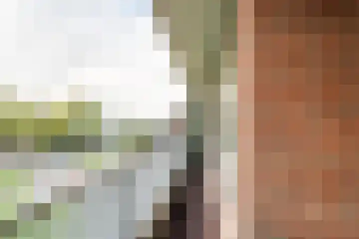 Vrijheer van Eslaan 133 Papendrecht thumbnail 8