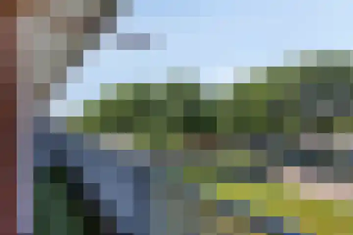 Vrijheer van Eslaan 197 Papendrecht thumbnail 15