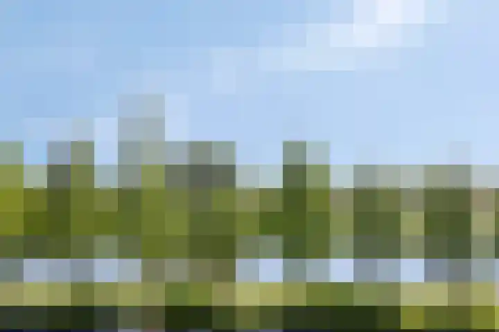 Vrijheer van Eslaan 197 Papendrecht thumbnail 22