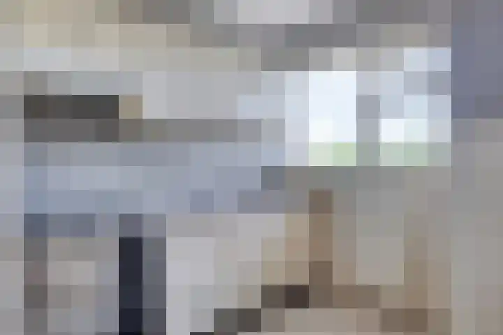 Vrijheer van Eslaan 197 Papendrecht thumbnail 6