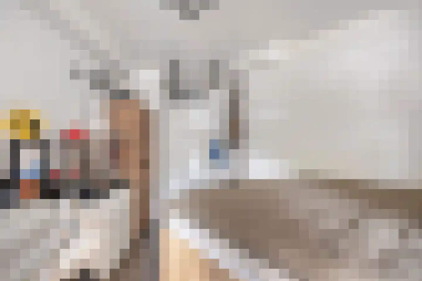 Vrijheer van Eslaan 205 Papendrecht thumbnail 13