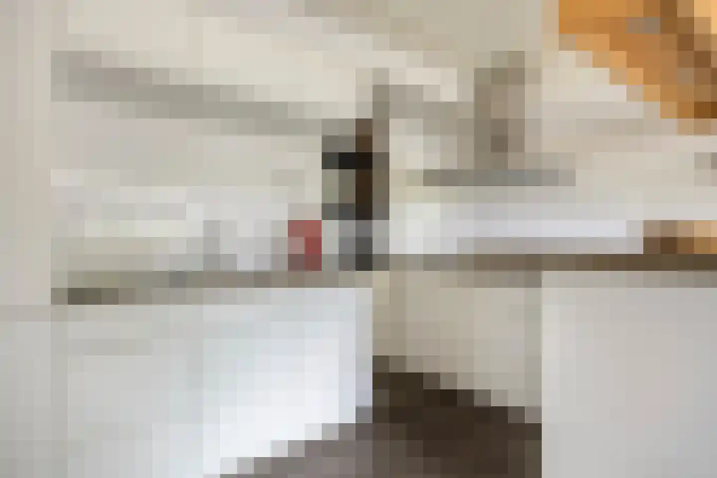 Vrijheer van Eslaan 205 Papendrecht foto 3