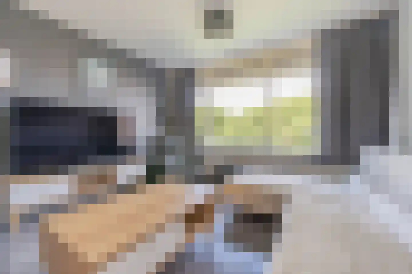Vrijheer van Eslaan 245 Papendrecht thumbnail 12