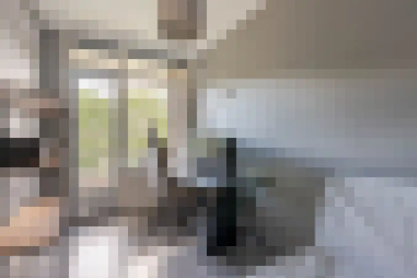 Vrijheer van Eslaan 245 Papendrecht thumbnail 14