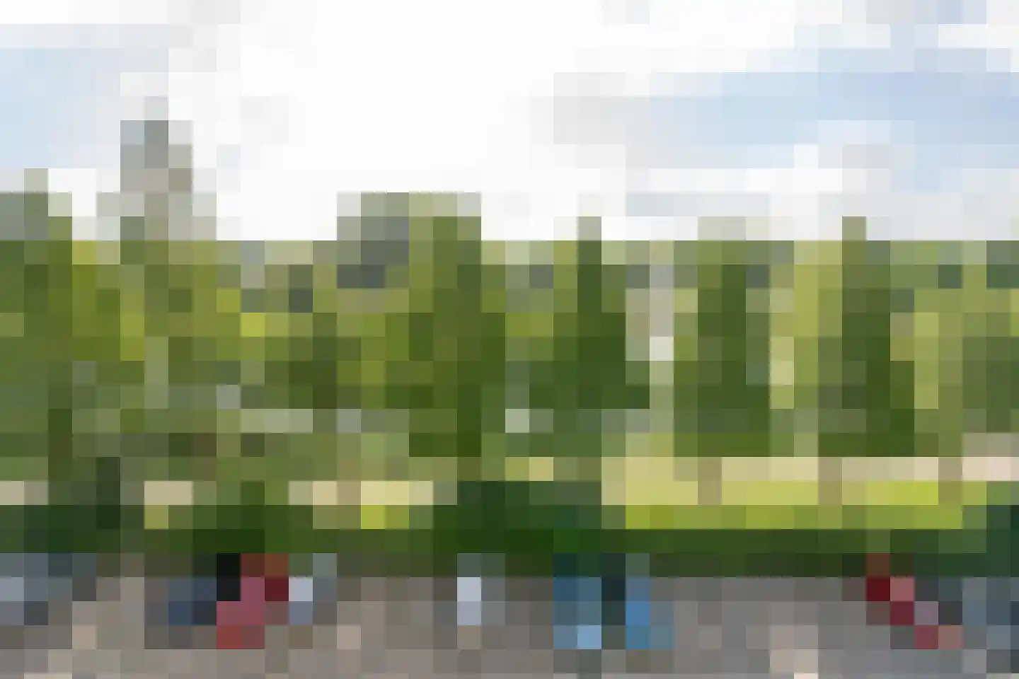 Vrijheer van Eslaan 245 Papendrecht thumbnail 34