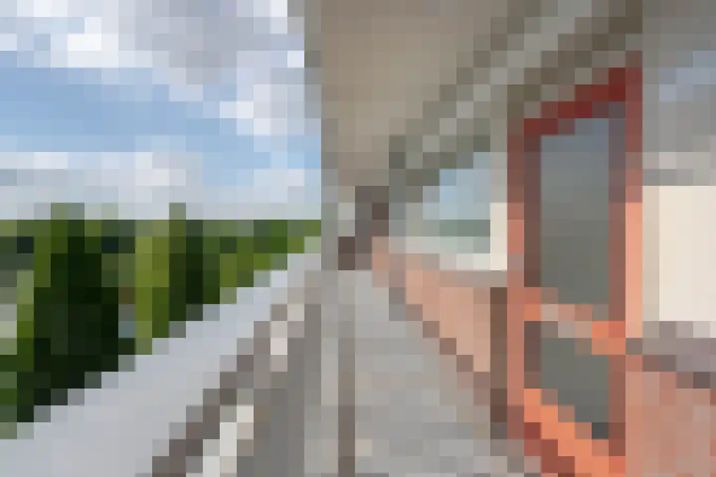 Vrijheer van Eslaan 245 Papendrecht thumbnail 8