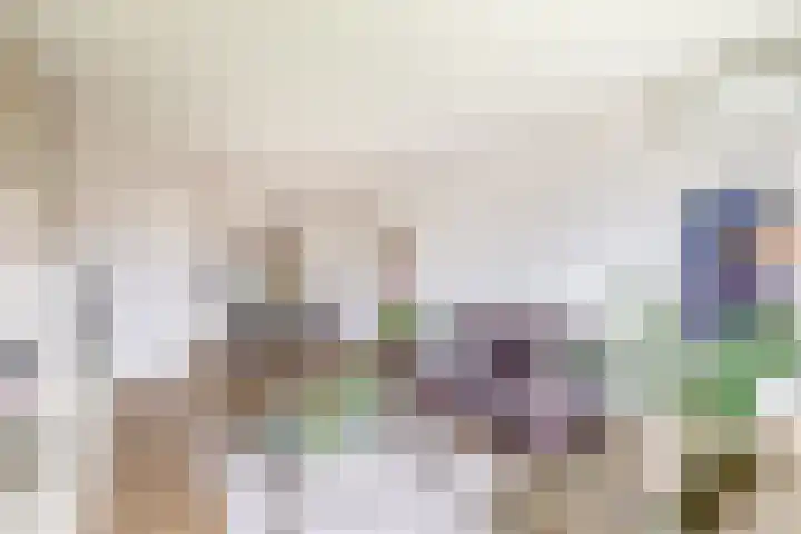 Vrijheer van Eslaan 251 Papendrecht thumbnail 10