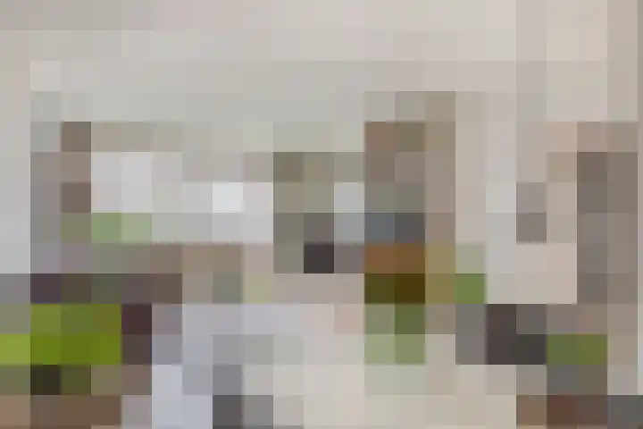 Vrijheer van Eslaan 251 Papendrecht thumbnail 12