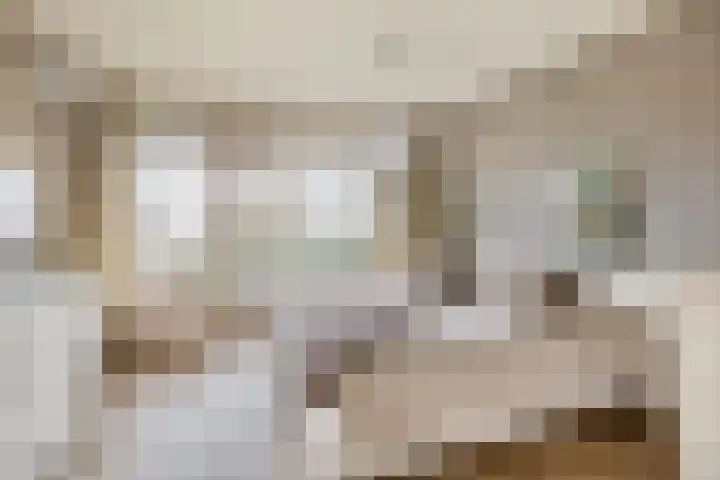 Vrijheer van Eslaan 251 Papendrecht thumbnail 16