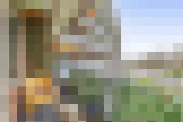 Vrijheer van Eslaan 251 Papendrecht thumbnail 23
