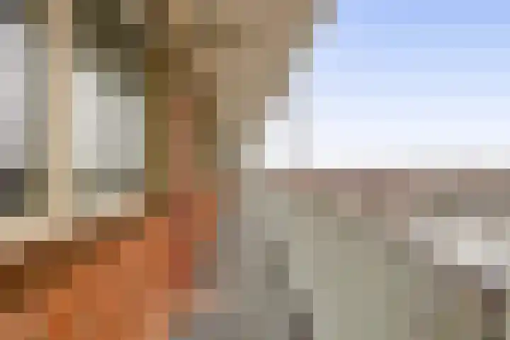 Vrijheer van Eslaan 251 Papendrecht thumbnail 24