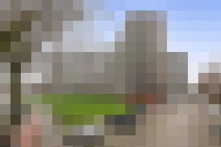 Vrijheer van Eslaan 251 Papendrecht thumbnail 32
