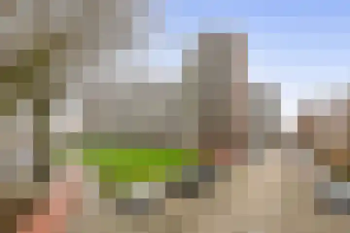 Vrijheer van Eslaan 251 Papendrecht thumbnail 33