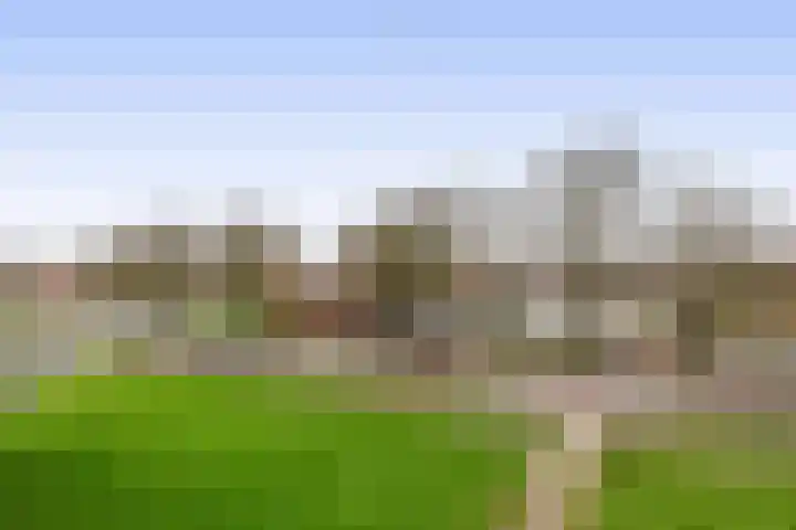 Vrijheer van Eslaan 251 Papendrecht thumbnail 35