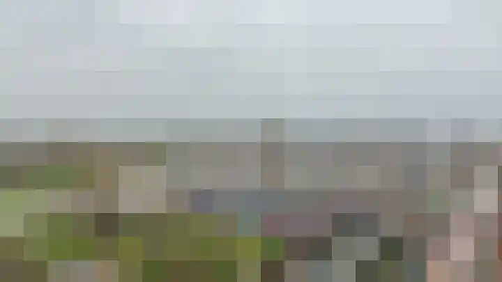 Vrijheer van Eslaan 251 Papendrecht thumbnail 36