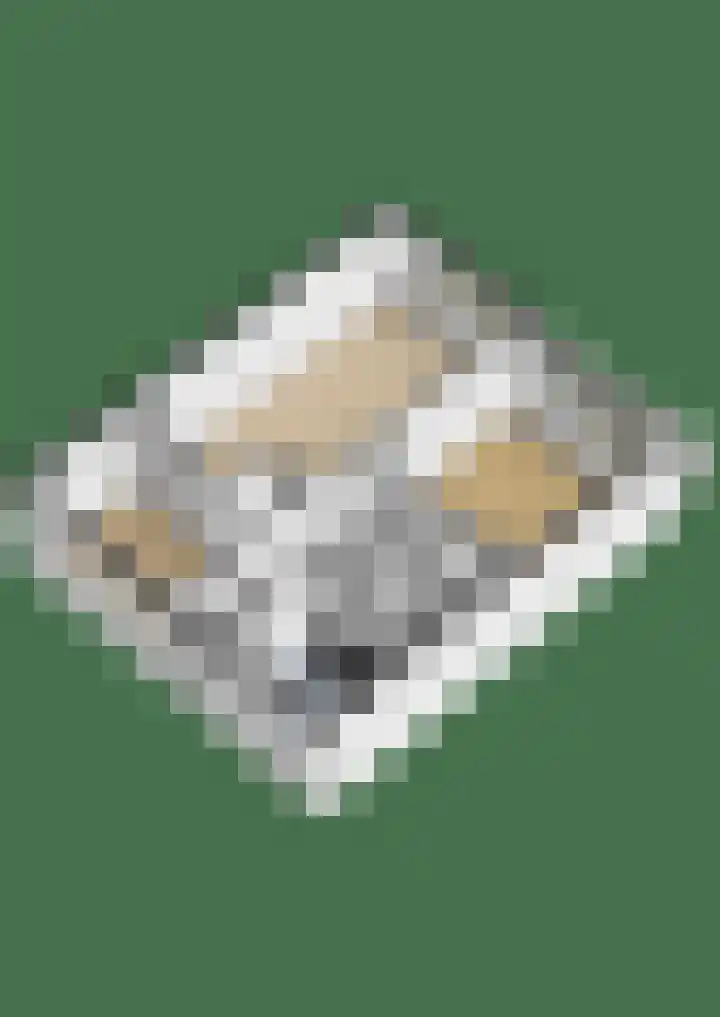 Vrijheer van Eslaan 251 Papendrecht thumbnail 40