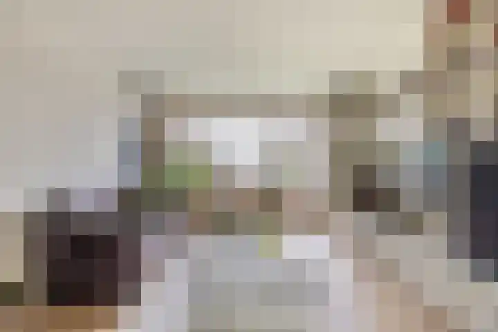 Vrijheer van Eslaan 251 Papendrecht thumbnail 8