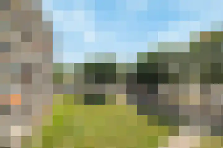 Vrijheer van Eslaan 253 Papendrecht thumbnail 23