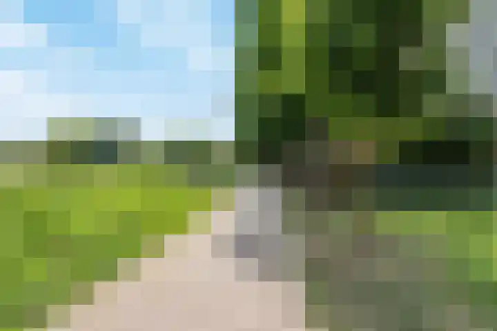 Vrijheer van Eslaan 253 Papendrecht thumbnail 26