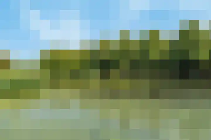 Vrijheer van Eslaan 253 Papendrecht thumbnail 27