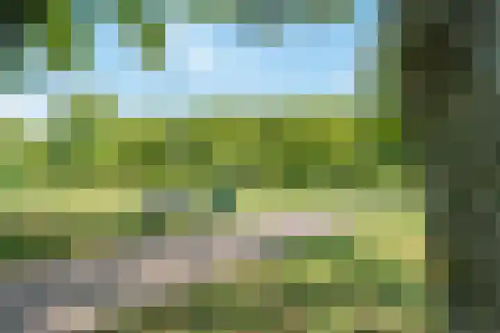 Vrijheer van Eslaan 253 Papendrecht thumbnail 28