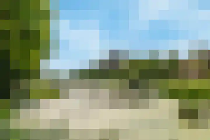 Vrijheer van Eslaan 253 Papendrecht thumbnail 29