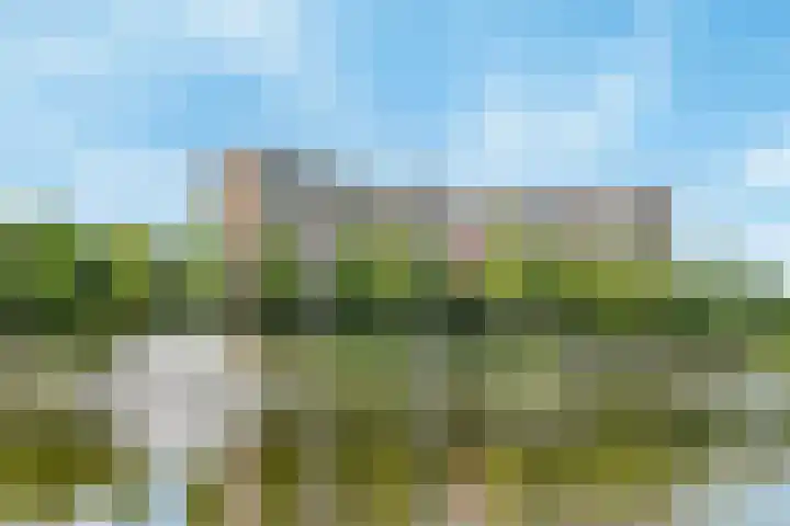 Vrijheer van Eslaan 253 Papendrecht thumbnail 33
