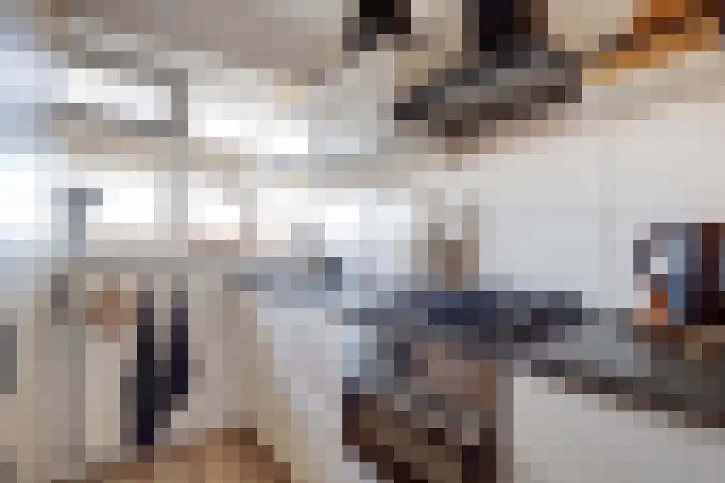 Vrijheer van Eslaan 315 Papendrecht thumbnail 11