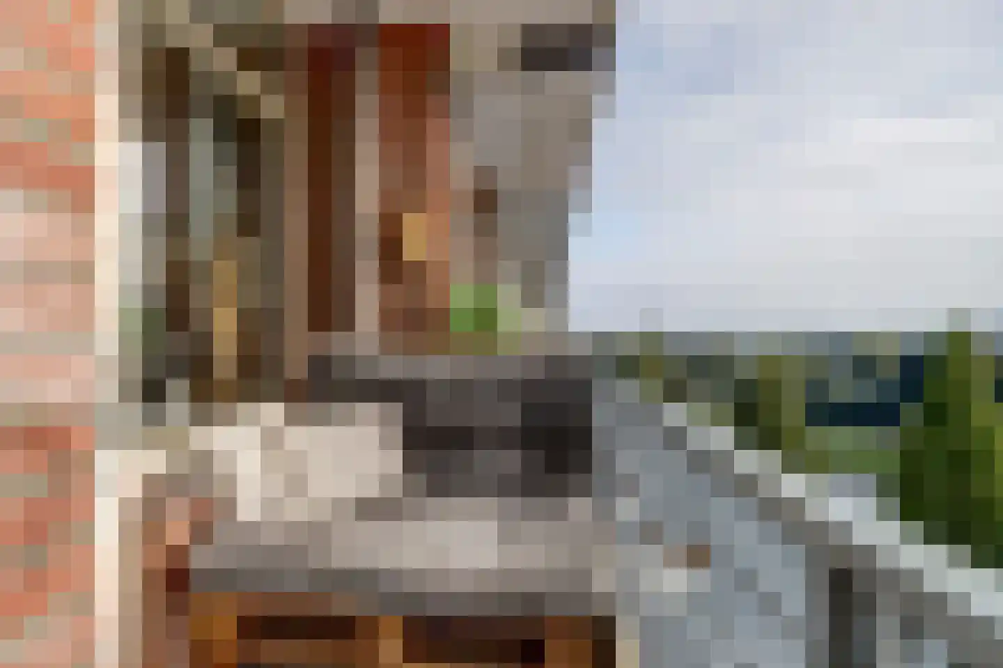Vrijheer van Eslaan 315 Papendrecht thumbnail 17