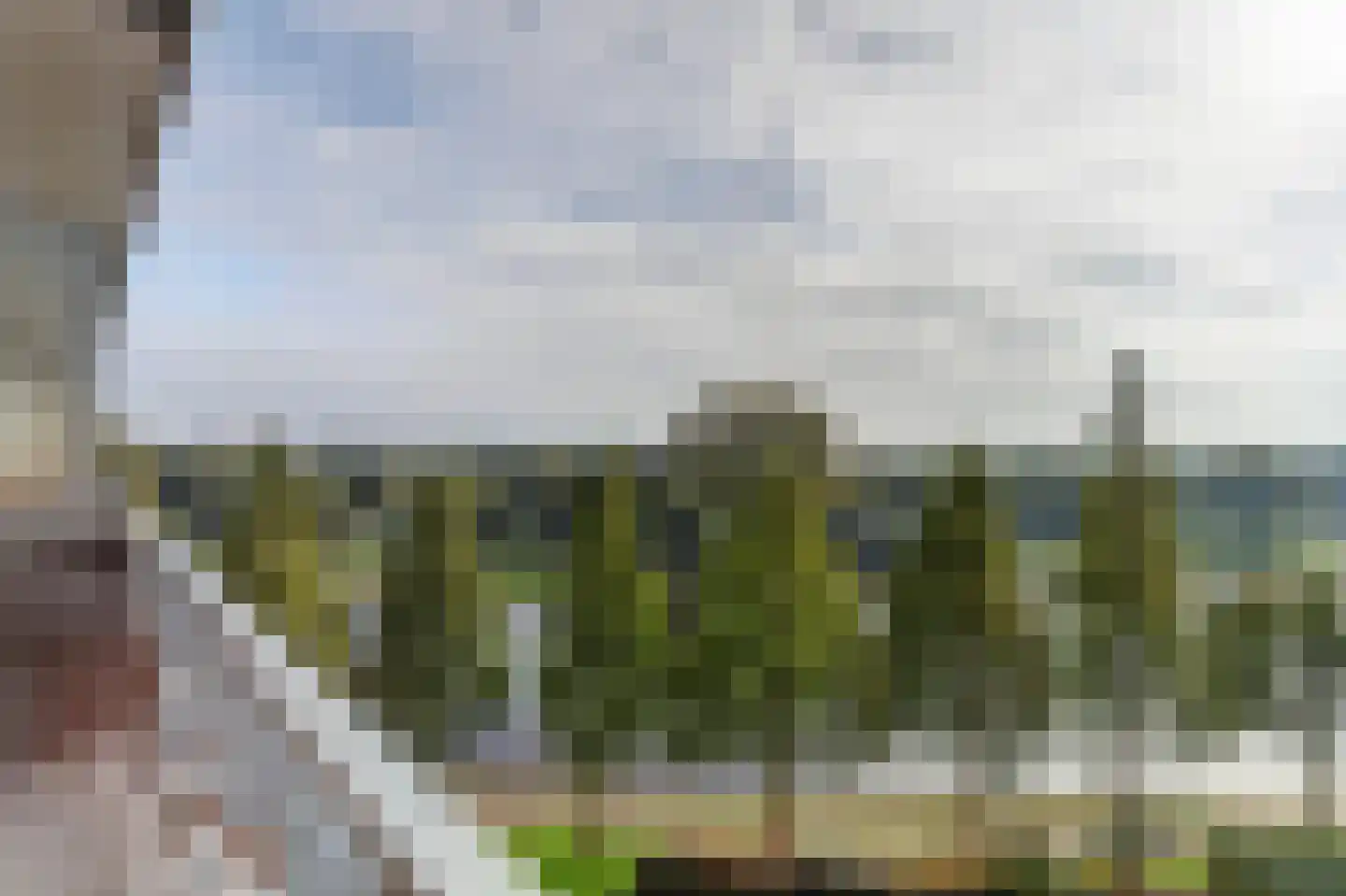Vrijheer van Eslaan 315 Papendrecht thumbnail 21