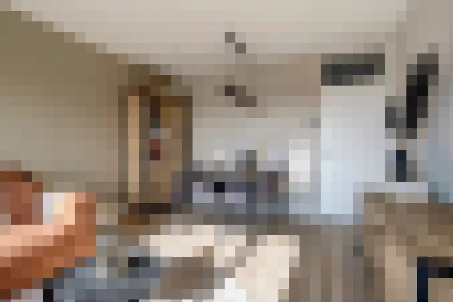 Vrijheer van Eslaan 315 Papendrecht thumbnail 8