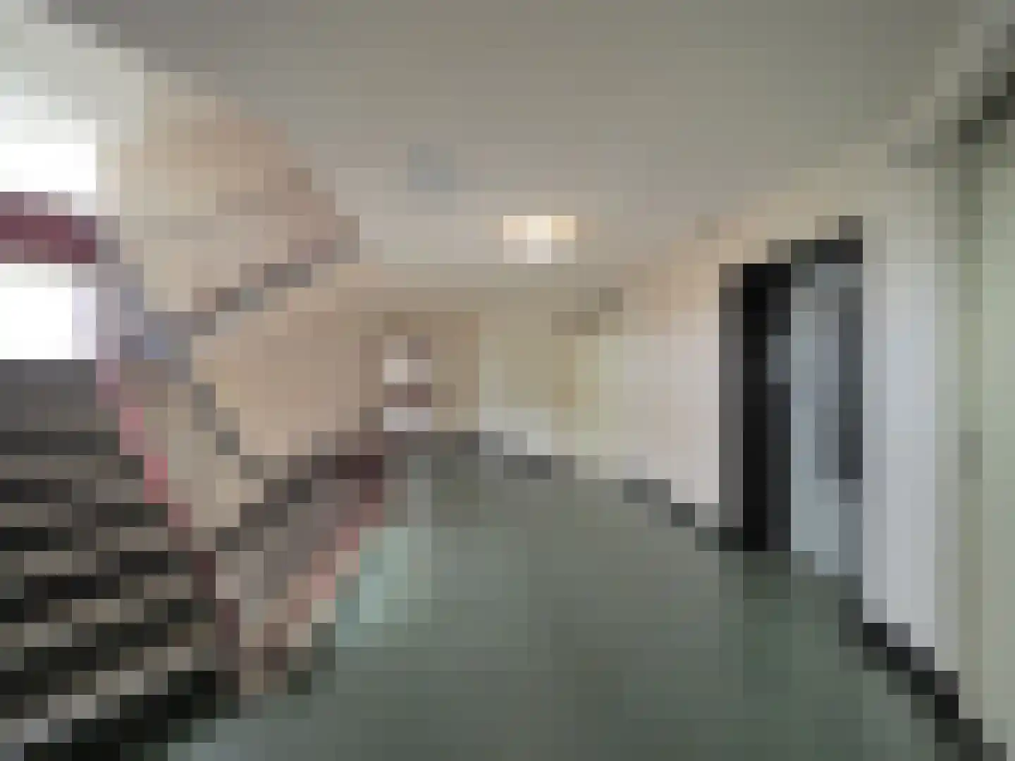 Vrijheer van Eslaan 327 Papendrecht thumbnail 12