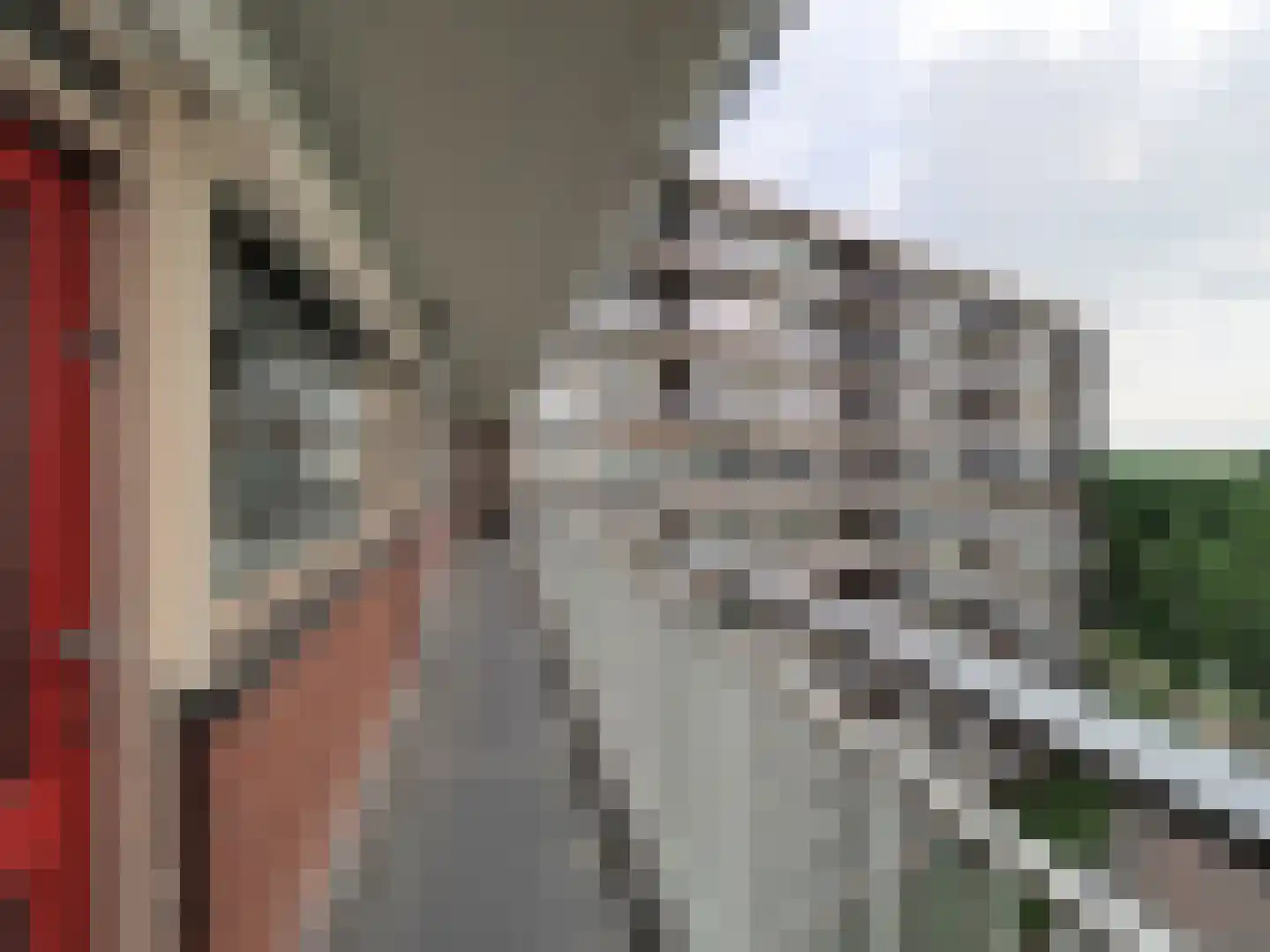 Vrijheer van Eslaan 327 Papendrecht thumbnail 13