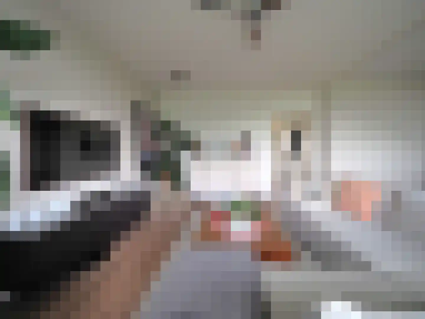 Vrijheer van Eslaan 327 Papendrecht thumbnail 20