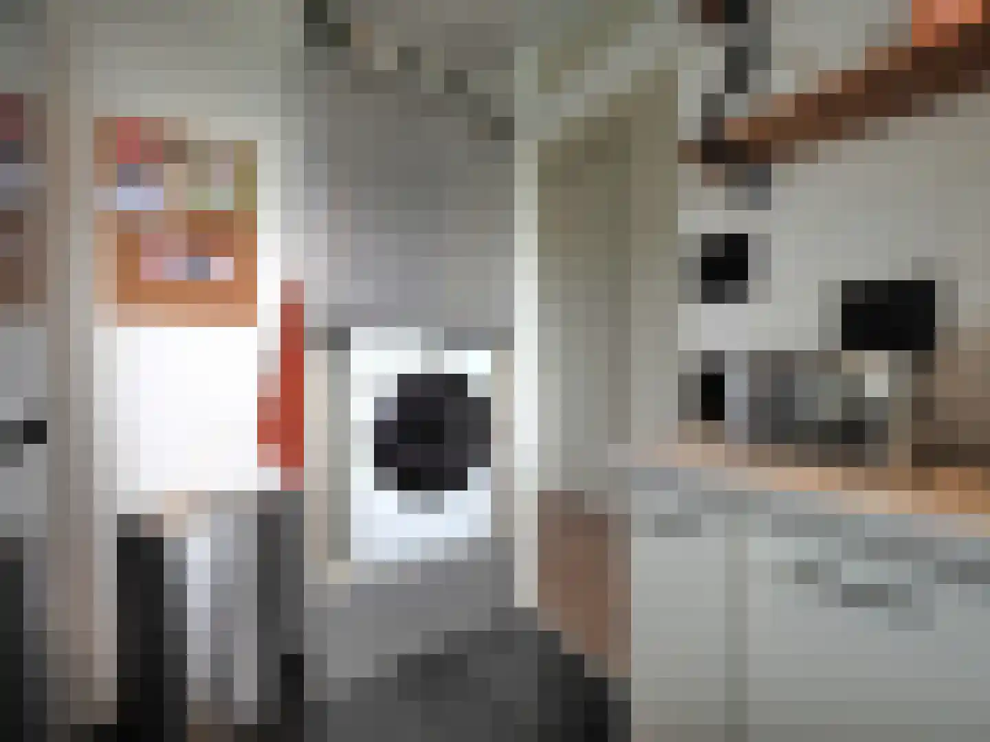 Vrijheer van Eslaan 327 Papendrecht thumbnail 32