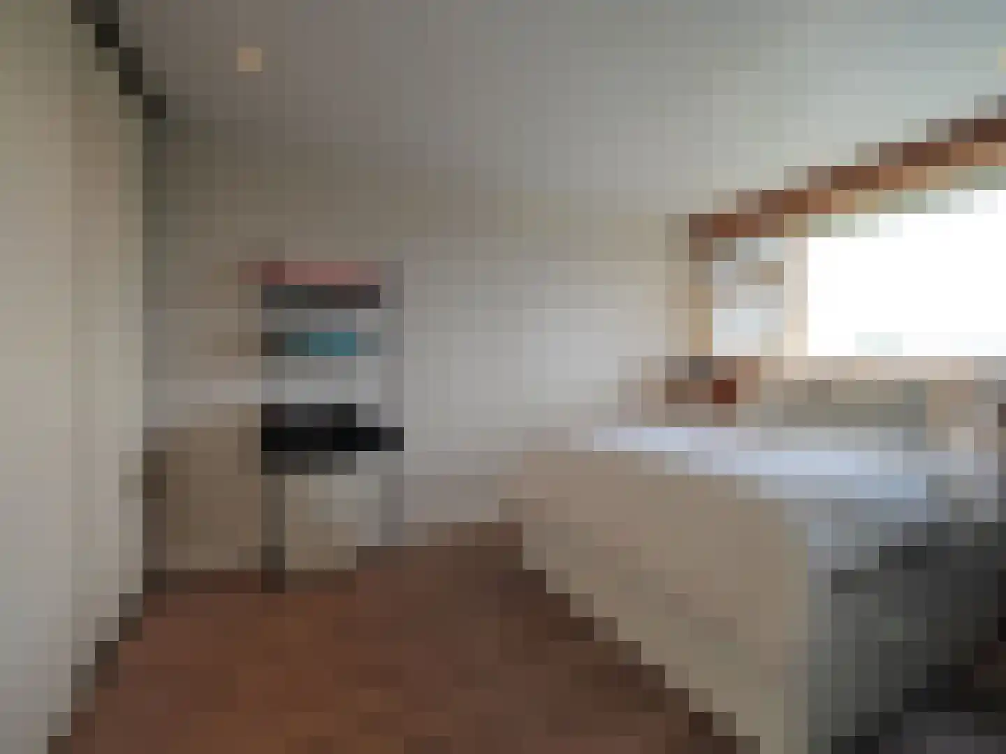 Vrijheer van Eslaan 327 Papendrecht thumbnail 33