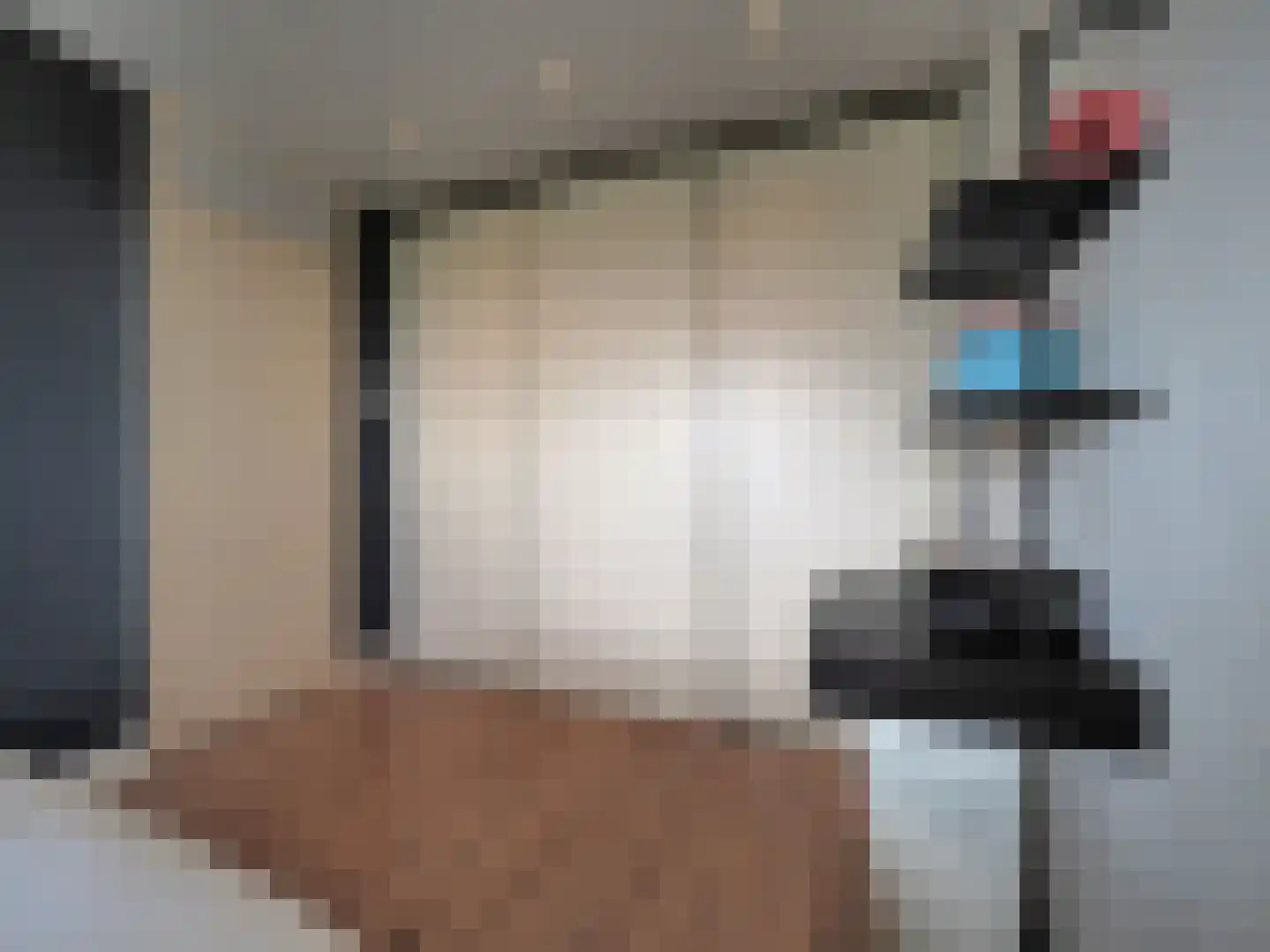 Vrijheer van Eslaan 327 Papendrecht thumbnail 36