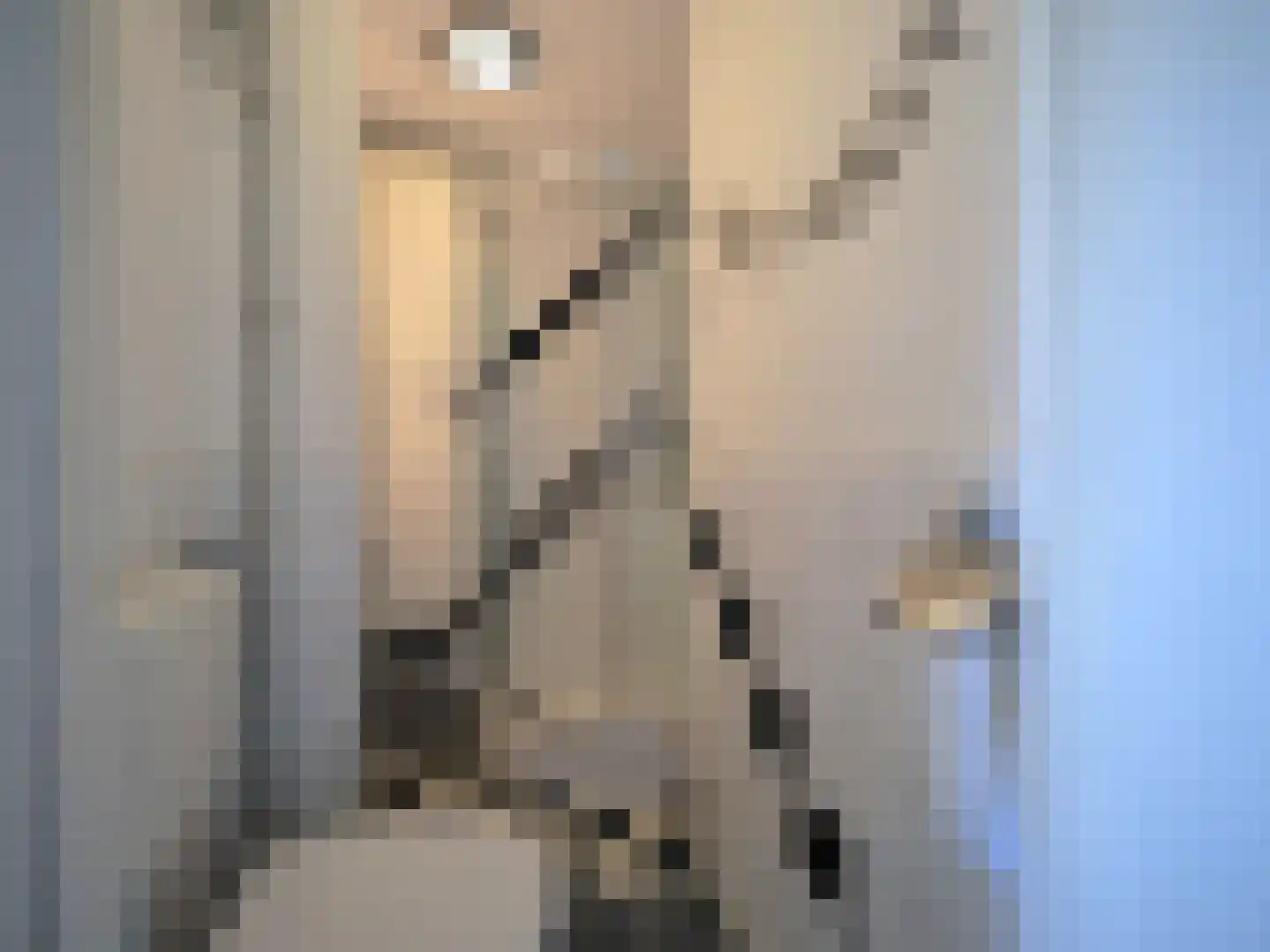 Vrijheer van Eslaan 327 Papendrecht thumbnail 37