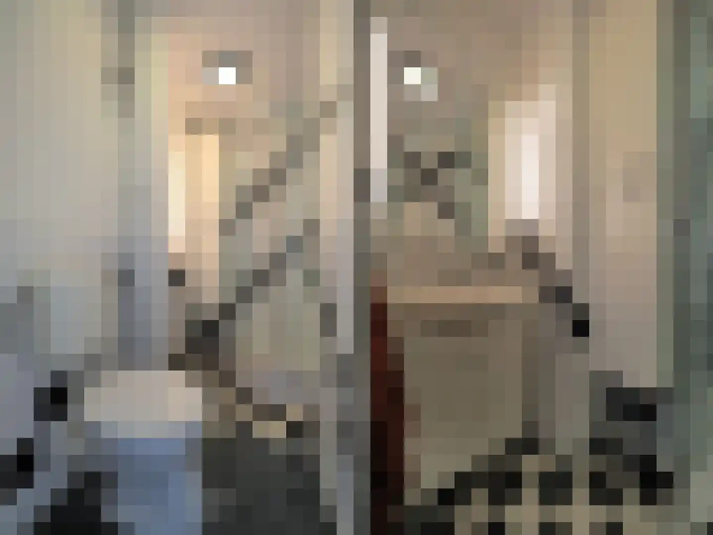 Vrijheer van Eslaan 327 Papendrecht thumbnail 38