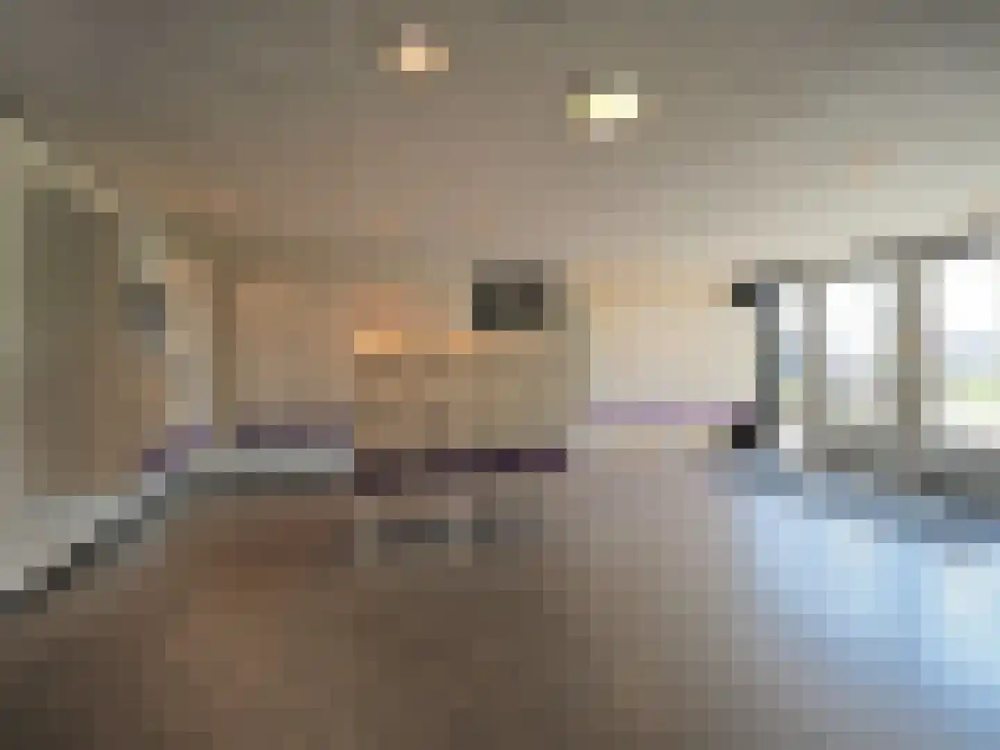 Vrijheer van Eslaan 327 Papendrecht thumbnail 9