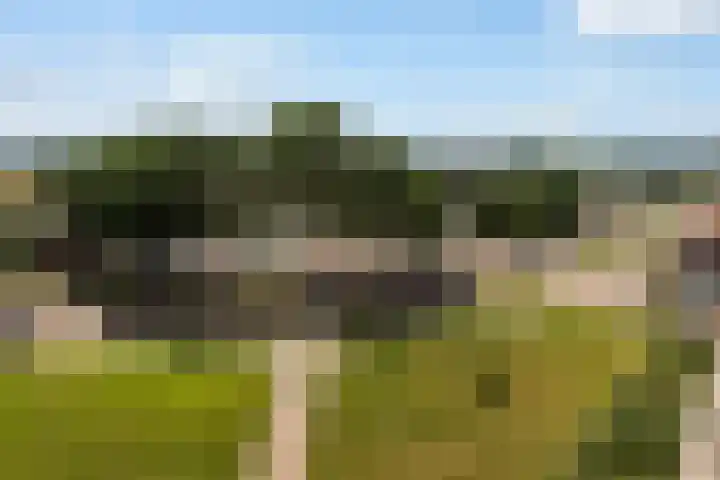 Vrijheer van Eslaan 383 Papendrecht thumbnail 28