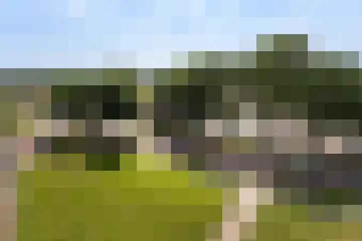 Vrijheer van Eslaan 383 Papendrecht thumbnail 29