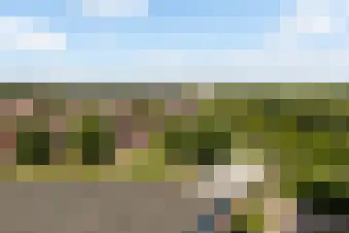 Vrijheer van Eslaan 383 Papendrecht thumbnail 30