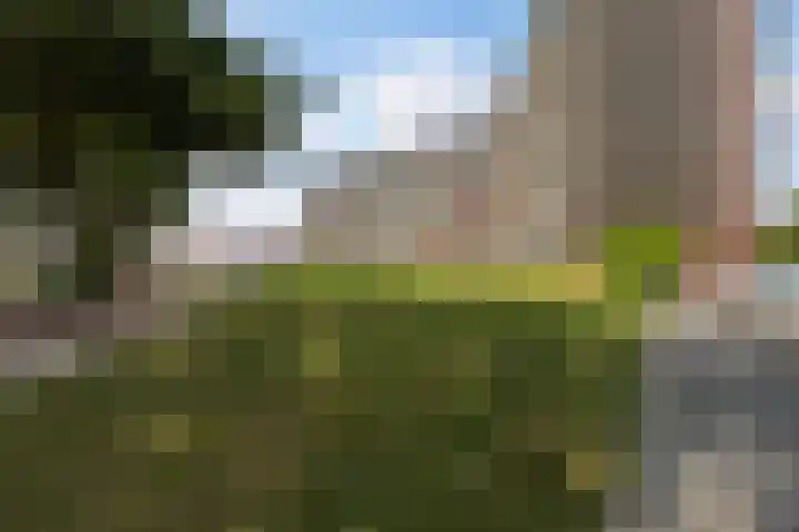 Vrijheer van Eslaan 383 Papendrecht thumbnail 31