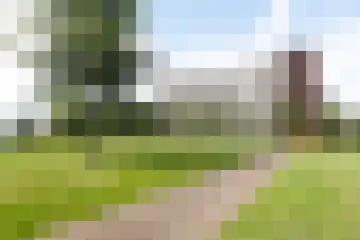 Vrijheer van Eslaan 383 Papendrecht thumbnail 33