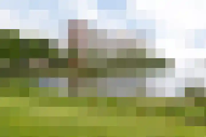 Vrijheer van Eslaan 383 Papendrecht thumbnail 34