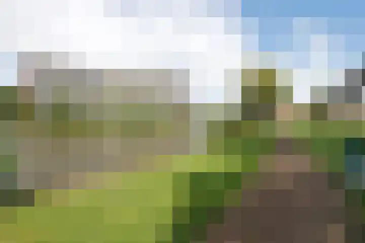 Vrijheer van Eslaan 383 Papendrecht thumbnail 35