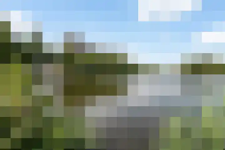 Vrijheer van Eslaan 383 Papendrecht thumbnail 36