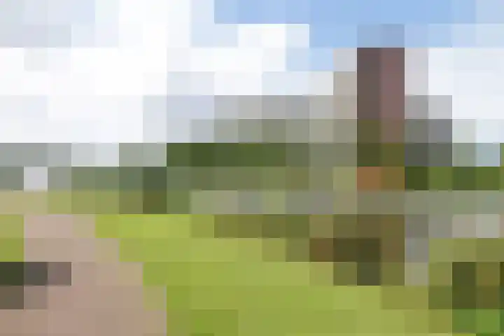 Vrijheer van Eslaan 383 Papendrecht thumbnail 4