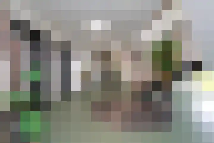 Vrijheer van Eslaan 383 Papendrecht thumbnail 5